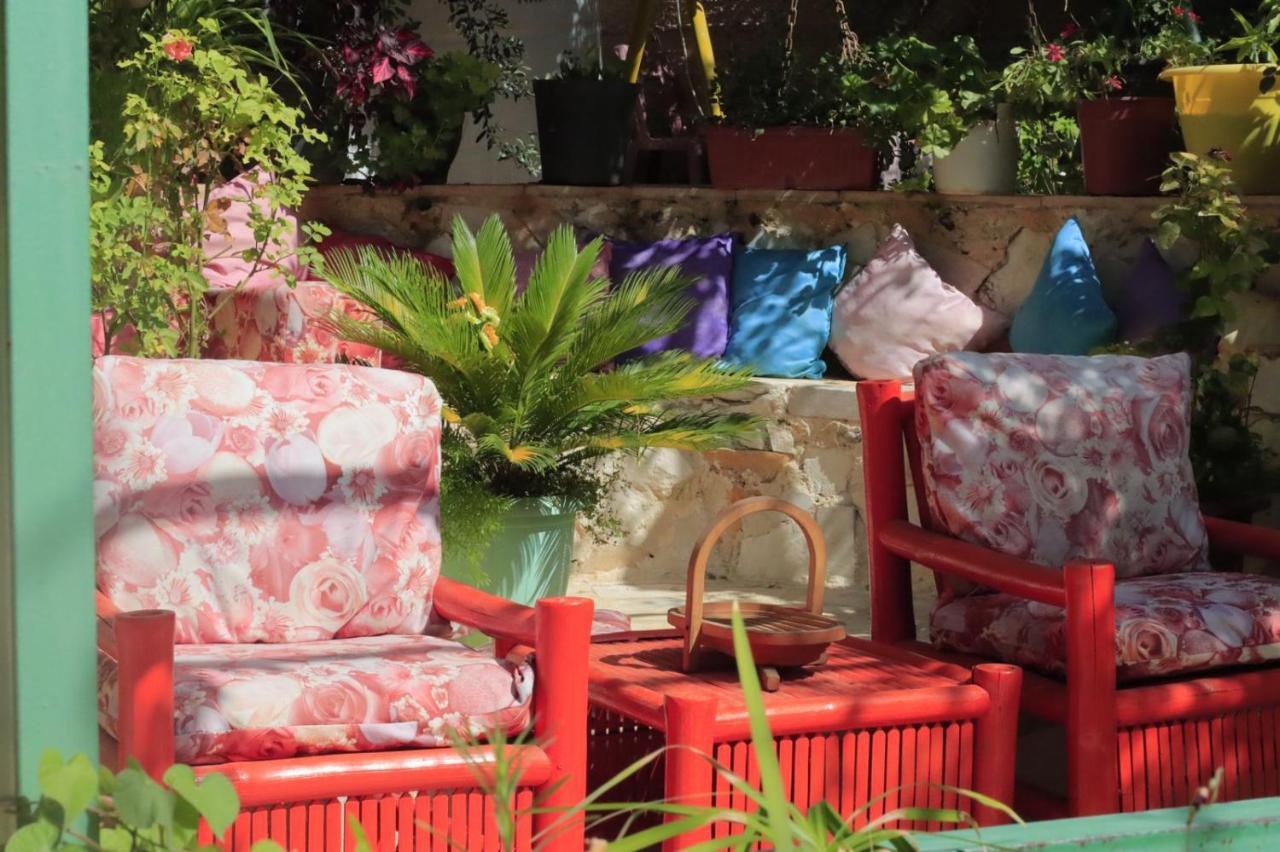 بيت الطبيعة Nature House Jarash Esterno foto