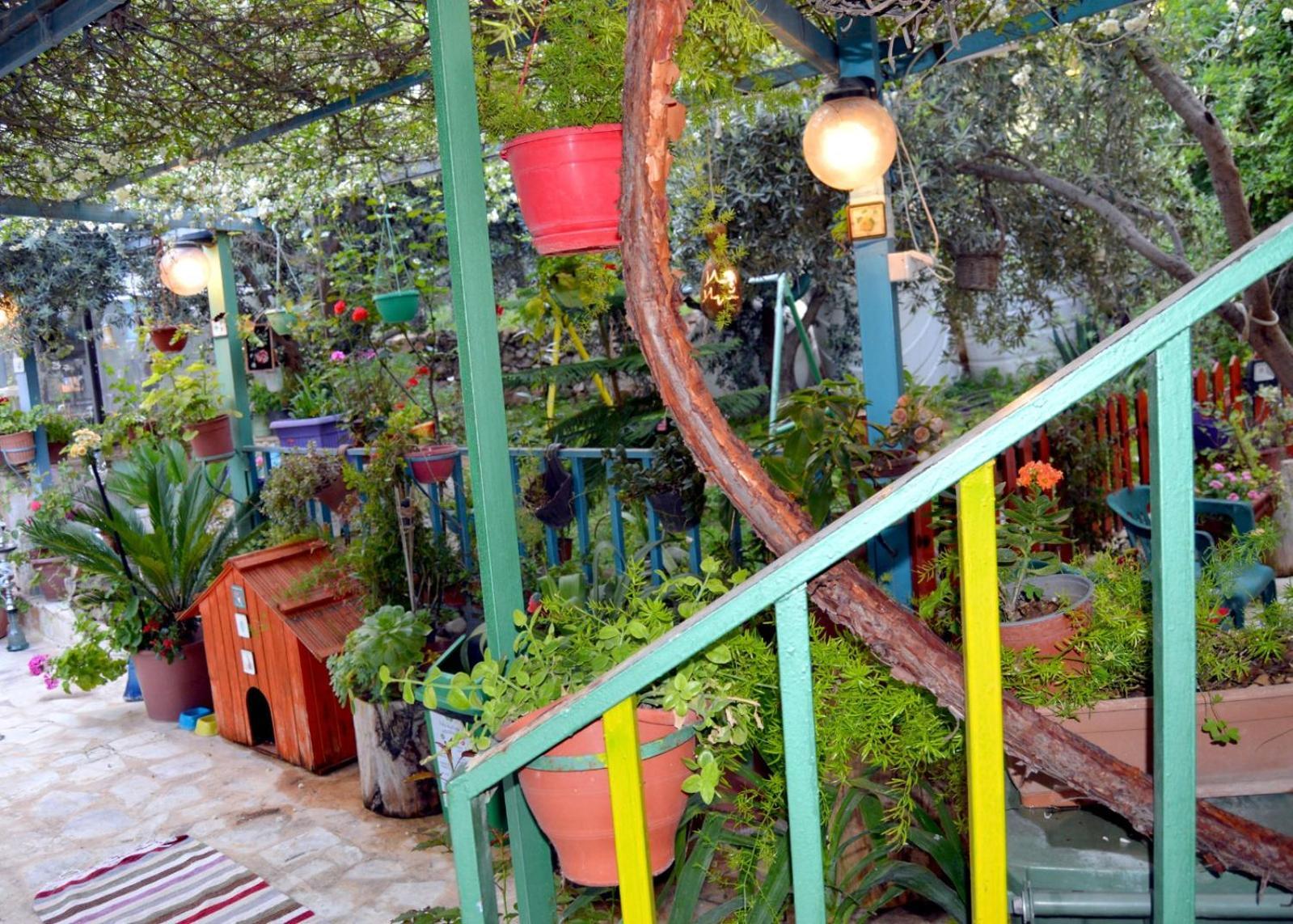بيت الطبيعة Nature House Jarash Camera foto